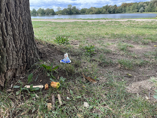 Někteří návštěvníci oblíbeného přírodního koupaliště Poděbrady u Olomouce po...