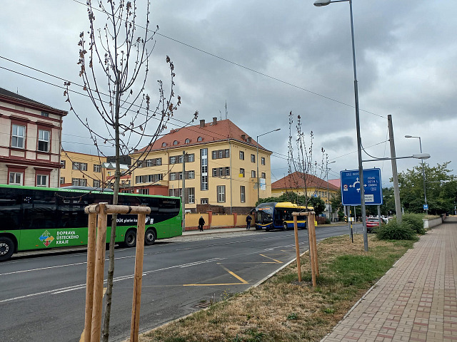 Stromy v Duchcovské ulici v Teplicích (23. července 2026)