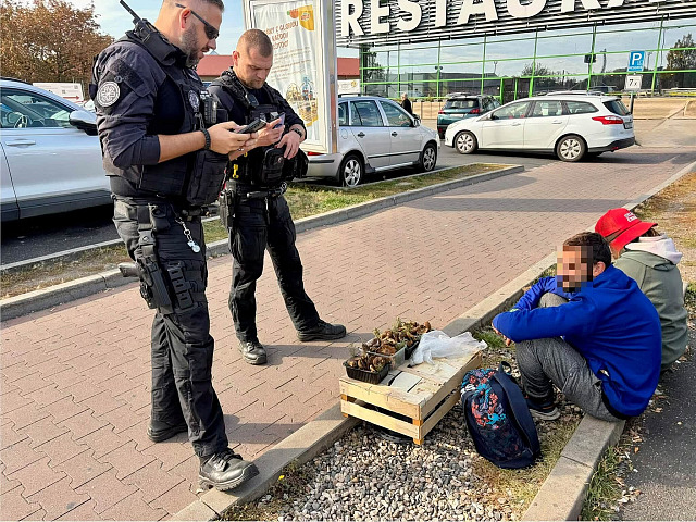 Nelegální prodej hub v Chomutově. Dvojice je nabízela v obchodní zóně....