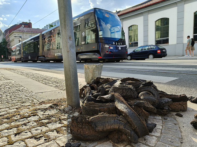 Vysoké teploty poškodily část tramvajové tratě v Praze. (13. července 2026)