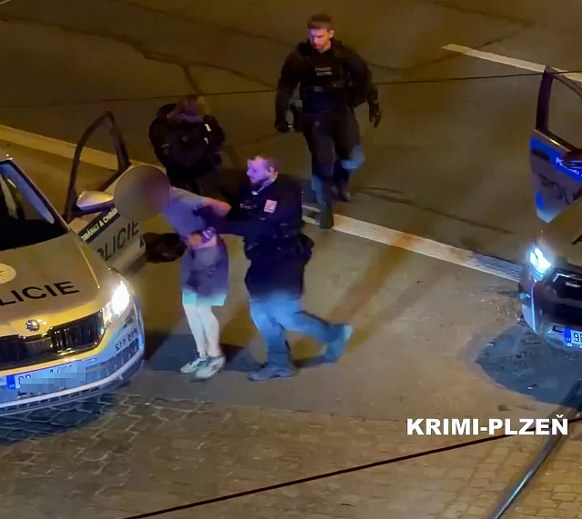 Hlídky vyjížděly k oznámené potyčce dvou mužů u divadla J. K. Tyla. Při zásahu...