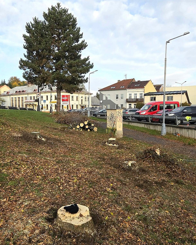 Pokácené stromy před prodejnou Penny Market v Jaroměři (26. října 2026)